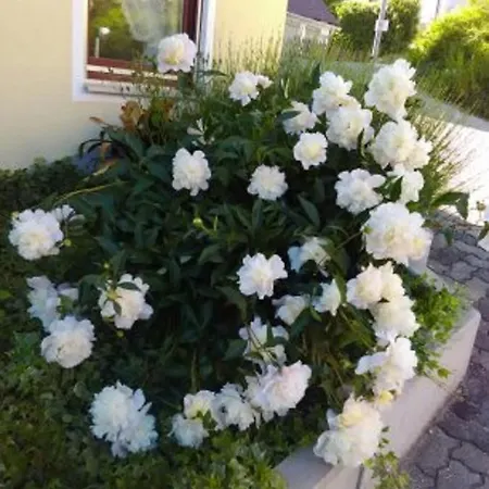 Ferienhaus Moderer Apartment Burgthann